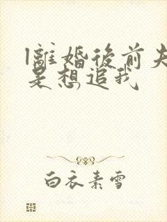 l离婚后前夫总是想追我