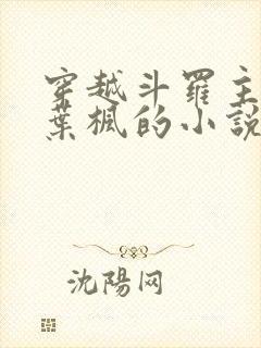 穿越斗罗主角是叶枫的小说