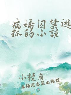 病娇囚禁逃跑被抓的小说