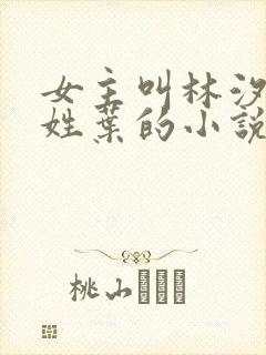 女主叫林汐男主姓叶的小说