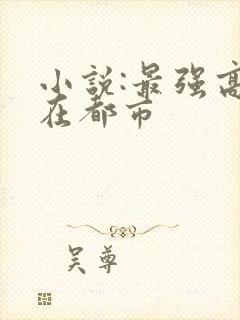 小说:最强高手在都市