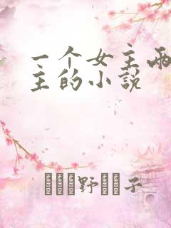 一个女主两个男主的小说