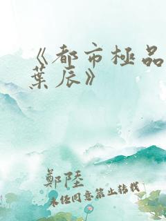 《都市极品医神叶辰》