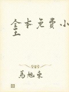 全本免费小说之王