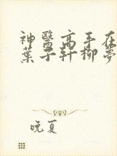 神医高手在都市叶子轩柳梦凝