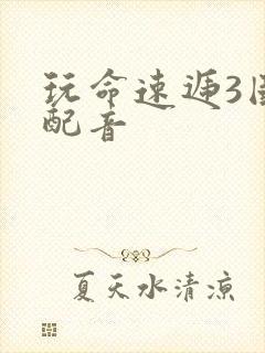 玩命速递3国语配音