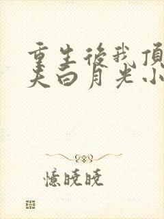 重生后我顶替前夫白月光小说裴珩