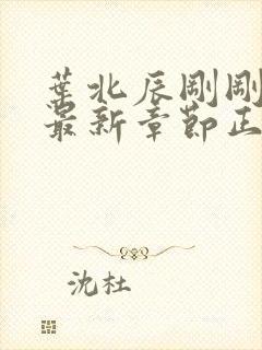 叶北辰刚刚更新最新章节正版