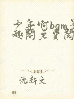 少年啊bgm笔趣阁免费阅读全文