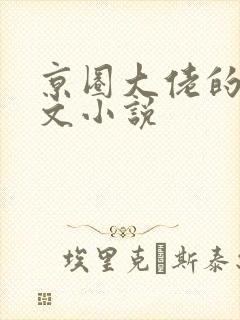 京圈大佬的高干文小说