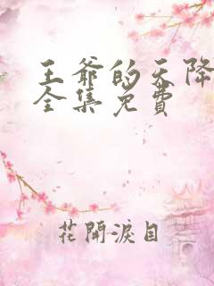 王爷的天降毒妃全集免费