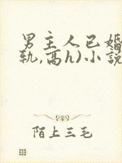 男主人已婚(出轨,高h)小说