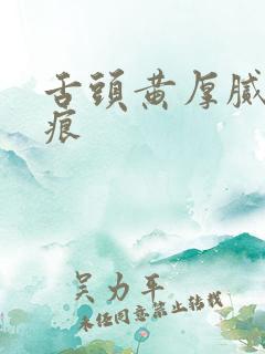 舌头黄厚腻有齿痕