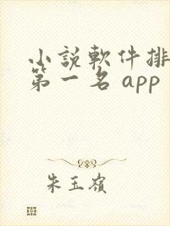 小说软件排行榜第一名 app