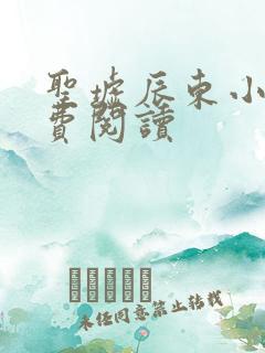 圣墟辰东小说免费阅读