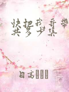 快把我哥带走一共多少集