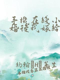 手机在线小说离婚后我嫁给了渣男他小叔