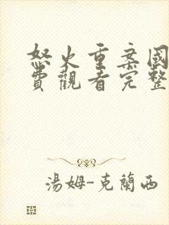 怒火重案国语免费观看完整版电影