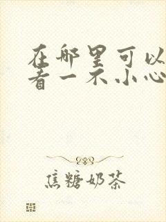 在哪里可以免费看一不小心闪婚了短剧