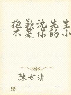 抱歉沈先生孩子不是你的小说免费阅读