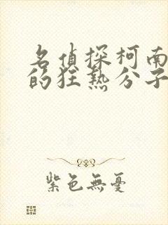 名侦探柯南迷宫的狂热分子