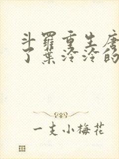 斗罗重生唐昊娶了叶泠泠的小说