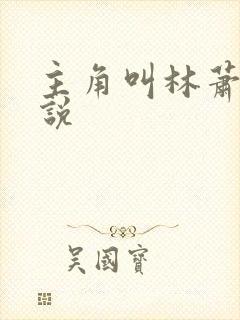 主角叫林萧的小说