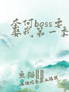 奈何boss要娶我第一季免费版高清