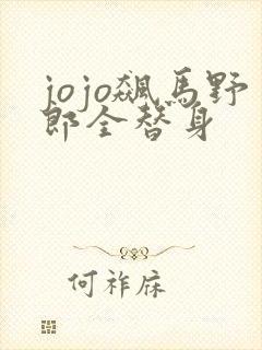 jojo飙马野郎全替身