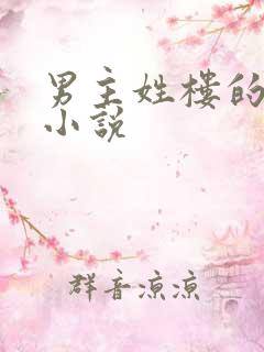 男主姓楼的总裁小说