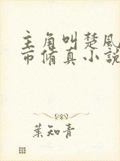 主角叫楚风的都市修真小说