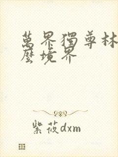 万界独尊林枫什么境界