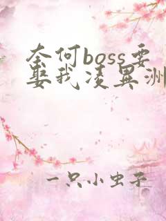 奈何boss要娶我凌异洲