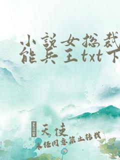 小说女总裁的全能兵王txt下载