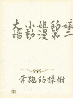 大小姐的嫁入战场动漫第二季