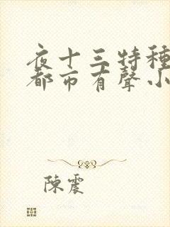 夜十三特种兵在都市有声小说