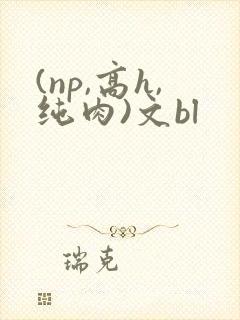 (np,高h,纯肉)文bl