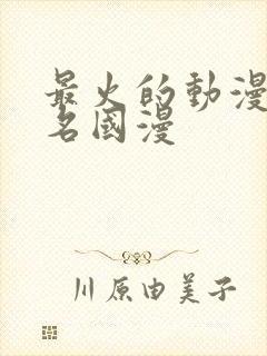 最火的动漫前十名国漫