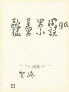 欧美男同gay猛男小说