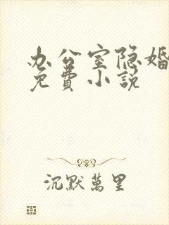 办公室隐婚轻黯免费小说