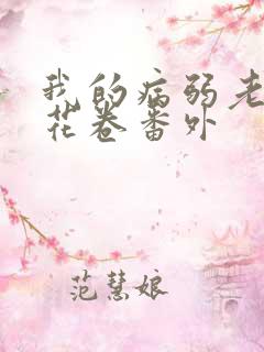 我的病弱老婆 花卷番外