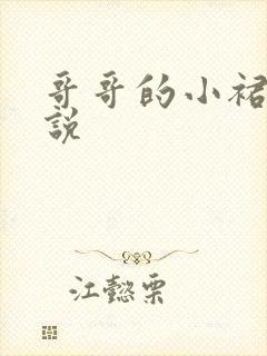 哥哥的小裙子小说