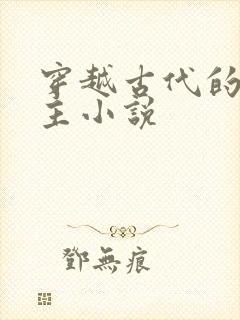 穿越古代的双男主小说