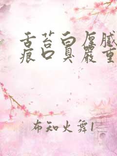 舌苔白厚腻有齿痕口臭严重