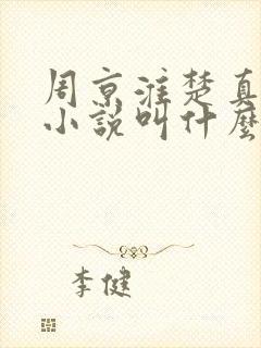 周京淮楚真原著小说叫什么名字