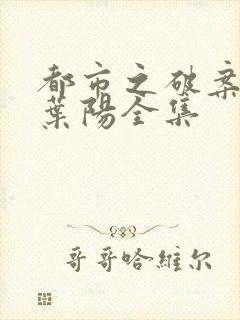 都市之破案狂少叶阳全集