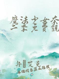 魔法少女奈叶第二季免费观看