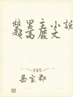 双男主小说车速超高废文