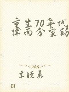 重生70年代陈伟南分家的小说