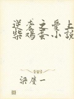 逆袭之爱上情敌柴鸡蛋小说在线阅读